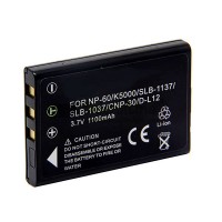 Batería de repuesto para ROLLEI Prego 1100mAh dp5300